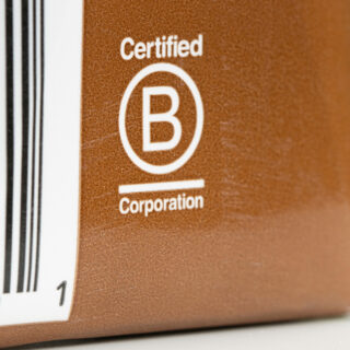 B corp certification process