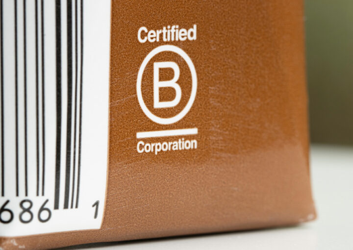 B corp certification process