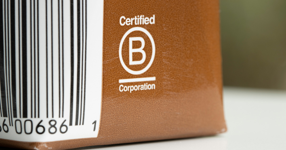 B corp certification process